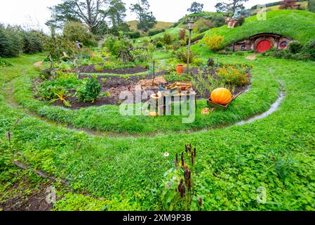 Hobbit Hole à Matamata - Nouvelle-Zélande Banque D'Images