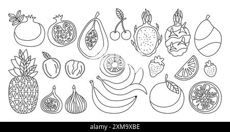 Ensemble de dessins animés de fruits ou de baies Doodle. Tranché linéaire orange, figue papaye litchi ananas, fruits de dragon contour trendy compris Kiwi juteux, grenade de mangue banane, vecteur de ligne de cerise de fraise dessiné Illustration de Vecteur