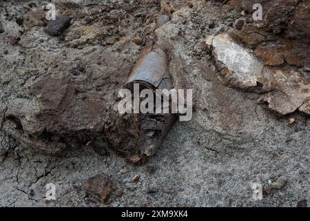 Au moins 57 dinosaures sont morts dans ce lit osseux du parc provincial Dinosaur en Alberta, au Canada. Banque D'Images