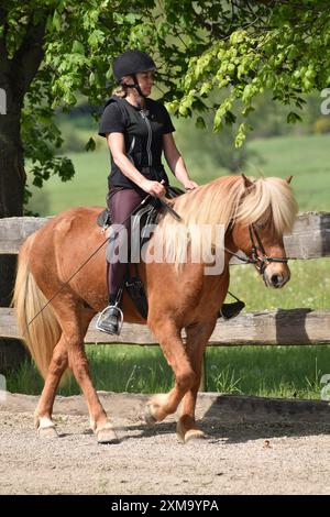 Cavalier novice s'entraînant avec un cheval islandais à l'allure de marche sur une piste ovale, portant un gilet de protection Banque D'Images