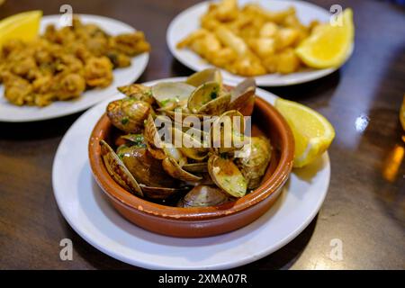 Moules, tapas dans un bar, nourriture, Barcelone, Catalogne, Espagne Banque D'Images