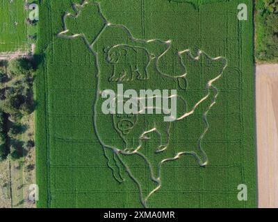 Dans un champ de maïs près de Weisskirchen près de Francfort-sur-le-main, un labyrinthe a été créé qui représente l'Amérique du Nord et deux animaux typiques de la Banque D'Images