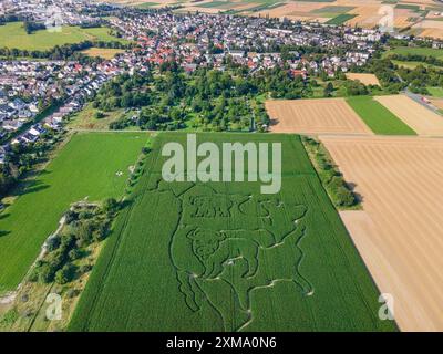 Dans un champ de maïs près de Weisskirchen près de Francfort-sur-le-main, un labyrinthe a été créé qui représente l'Amérique du Nord et deux animaux typiques de la Banque D'Images