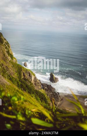 Paysage côtier avec de hautes falaises, des affleurements rocheux et des vagues s'écrasant contre le rivage, Mercer Bay Loop, Nouvelle-Zélande Banque D'Images