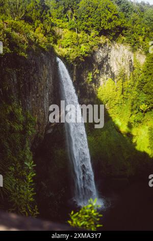 Une cascade entourée de verdure luxuriante descendant une falaise abrupte, Bridal Veil Falls, Nouvelle-Zélande Banque D'Images