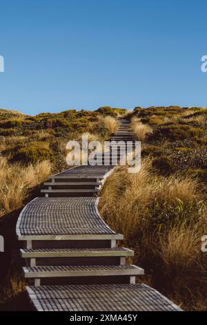 Une passerelle en bois sinueuse mène à travers un paysage herbeux vers la colline, le mont Taranaki, en Nouvelle-Zélande Banque D'Images