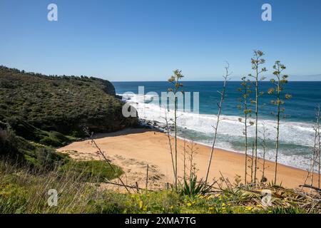 Plage de Turimetta sur la côte est de Sydney à Waariewood sur les plages du nord, ciel bleu hiver jour, NSW, Australie Banque D'Images