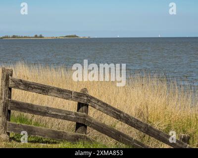 Une clôture en bois tordue devant un large plan d'eau avec des roseaux et des voiliers lointains, enkhuizen, pays-bas Banque D'Images