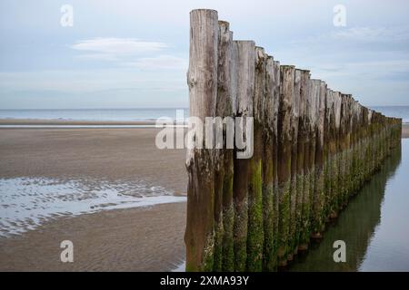 Une vieille clôture de piquet en bois s'étend le long d'une zone de sable humide sur la plage Banque D'Images