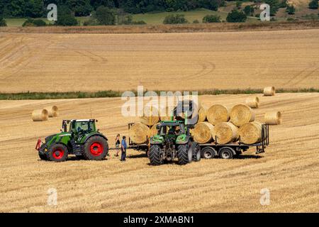 Récolte de paille, les balles de paille sont chargées sur une remorque de transport, après la récolte des céréales, près de Meckel, Eifel, Rhénanie-Palatinat, Allemagne Banque D'Images