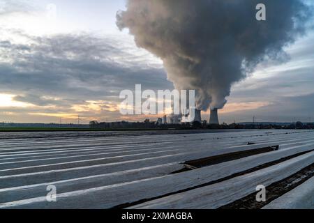 Centrale au lignite de Neurath, près de Grevenbroich, centrales F et G, A-E, champs d'asperges déjà plantés en décembre, crêtes d'asperges Banque D'Images