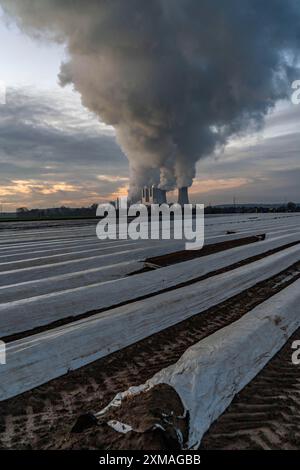 Centrale au lignite de Neurath, près de Grevenbroich, centrales F et G, A-E, champs d'asperges déjà plantés en décembre, crêtes d'asperges Banque D'Images