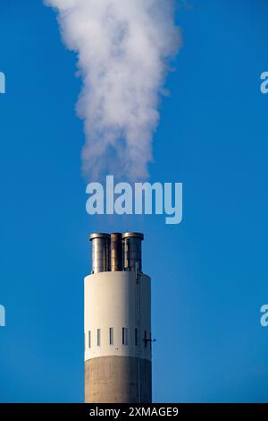 Cheminée de l'usine de valorisation énergétique des déchets de RZR Herten, incinération des déchets, Rhénanie du Nord-Westphalie, Allemagne Banque D'Images