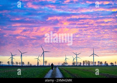 Parc éolien près de Holzweiler, ville d'Erkelenz, éoliennes, homme promenant son chien, Rhénanie du Nord-Westphalie, Allemagne Banque D'Images