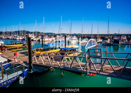 Airlie Beach, Queensland/Australie - 17 juillet 2024 : le port est occupé à transporter des touristes vers les îles Whitsunday. Banque D'Images