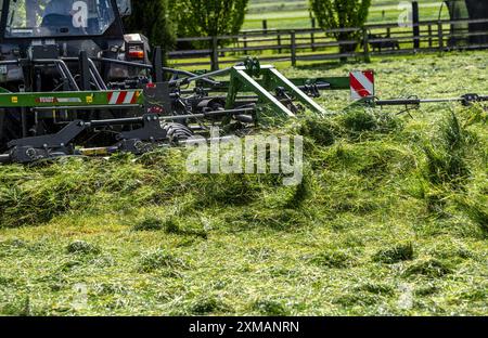 Tracteur, tondre l'herbe, tourner l'herbe, près d'Issum, Bas Rhin, Rhénanie du Nord-Westphalie, Allemagne Banque D'Images