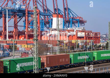 Port de Hambourg, Waltershofer Hafen, porte-conteneurs, train de marchandises avec conteneurs et camions porte-conteneurs amènent et récupèrent des conteneurs de fret vers et Banque D'Images