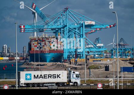 Le port maritime de Rotterdam, pays-Bas, port en haute mer Maasvlakte 2, sur une zone terrestre artificielle au large de la côte d'origine, APM Container Terminals, Maersk Banque D'Images