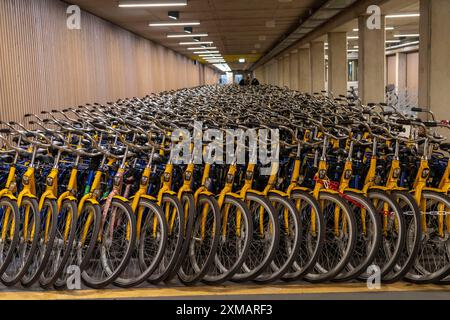 Vélos à la station de location OV-Fiets, à la gare centrale d'Utrecht, des centaines de vélos de location en attente d'utilisation, offre du chemin de fer néerlandais NS, pour Banque D'Images