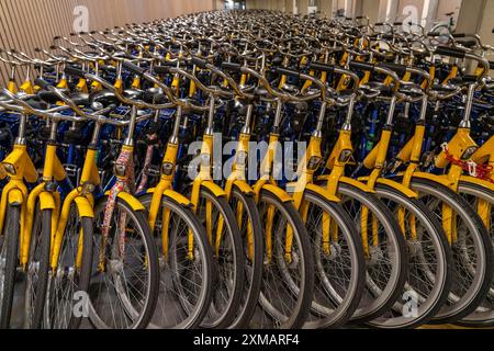 Vélos à la station de location OV-Fiets, à la gare centrale d'Utrecht, des centaines de vélos de location en attente d'utilisation, offre du chemin de fer néerlandais NS, pour Banque D'Images