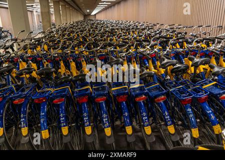 Vélos à la station de location OV-Fiets, à la gare centrale d'Utrecht, des centaines de vélos de location en attente d'utilisation, offre du chemin de fer néerlandais NS, pour Banque D'Images