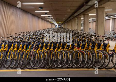 Vélos à la station de location OV-Fiets, à la gare centrale d'Utrecht, des centaines de vélos de location en attente d'utilisation, offre du chemin de fer néerlandais NS, pour Banque D'Images