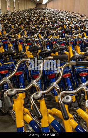 Vélos à la station de location OV-Fiets, à la gare centrale d'Utrecht, des centaines de vélos de location en attente d'utilisation, offre du chemin de fer néerlandais NS, pour Banque D'Images