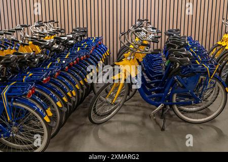 Vélos à la station de location OV-Fiets, à la gare centrale d'Utrecht, des centaines de vélos de location en attente d'utilisation, offre du chemin de fer néerlandais NS, pour Banque D'Images