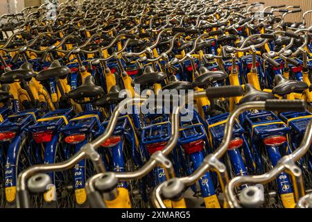 Vélos à la station de location OV-Fiets, à la gare centrale d'Utrecht, des centaines de vélos de location en attente d'utilisation, offre du chemin de fer néerlandais NS, pour Banque D'Images