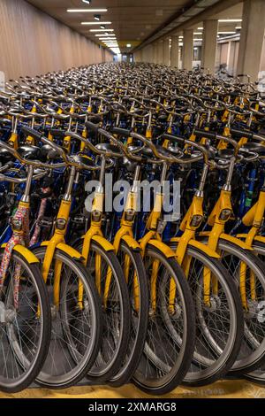 Vélos à la station de location OV-Fiets, à la gare centrale d'Utrecht, des centaines de vélos de location en attente d'utilisation, offre du chemin de fer néerlandais NS, pour Banque D'Images