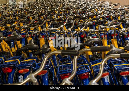 Vélos à la station de location OV-Fiets, à la gare centrale d'Utrecht, des centaines de vélos de location en attente d'utilisation, offre du chemin de fer néerlandais NS, pour Banque D'Images