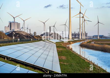 Parc solaire sur la digue de Slaperdijk près de l’Eemshaven, projet d’essai, 17 000 modules solaires ont été installés sur un bon 5 kilomètres, pays-Bas Banque D'Images