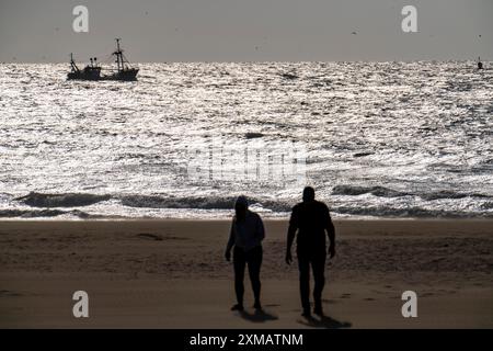 Poussettes sur la plage de Scheveningen, crevettier, pays-Bas Banque D'Images