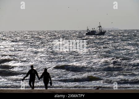 Poussettes sur la plage de Scheveningen, crevettier, pays-Bas Banque D'Images