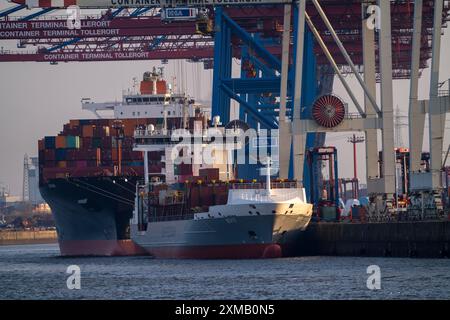 Terminal à conteneurs Tollerort, les navires porte-conteneurs sont chargés et déchargés, l'un des 4 terminaux à conteneurs dans le port de Hambourg, Hambourg, Allemagne Banque D'Images