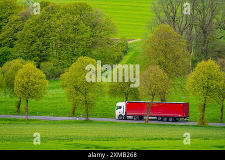 Camion sur une route de campagne, champs verts, prairies, arbres bordent la route à 2 voies, printemps, près de Schwelm, Rhénanie du Nord-Westphalie, Allemagne Banque D'Images