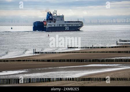 Le cargo Begonia SEAWAYS de DFDS, chargé de camions et de voitures neuves, quitte le Westerschelde en mer du Nord près de Zoutelande Banque D'Images