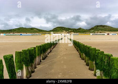 Côte de la mer du Nord en Zélande, appelée Zeeland Riviera, brise-lames, fait de piles de bois, près de Zoutelande, municipalité de Veere, cabines de plage Banque D'Images