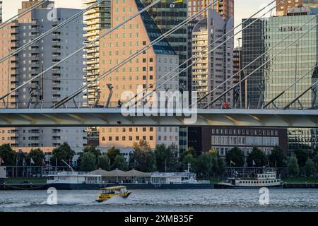 Le pont Erasmus, au-dessus de la Nieuwe Maas, construit sur la Boompjeskade, Rotterdam, pays-Bas Banque D'Images