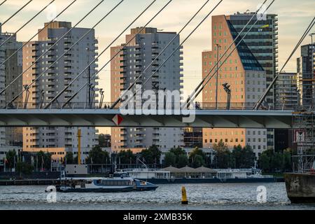 Le pont Erasmus, sur la Nieuwe Maas, construit sur la Boompjeskade, Waterbus, Rotterdam, pays-Bas Banque D'Images