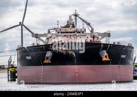 Gros pétrolier pour le pétrole brut, Freud, dans l'Arianehaven, port maritime de Rotterdam, Maasvlakte, Rotterdam pays-Bas Banque D'Images