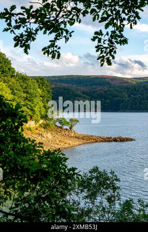 Lac Rursee, réservoir dans le parc national de l'Eifel, rive nord-est près de Heimbach, près du barrage de Rur Schwammenauel, Rhénanie du Nord-Westphalie, Allemagne Banque D'Images