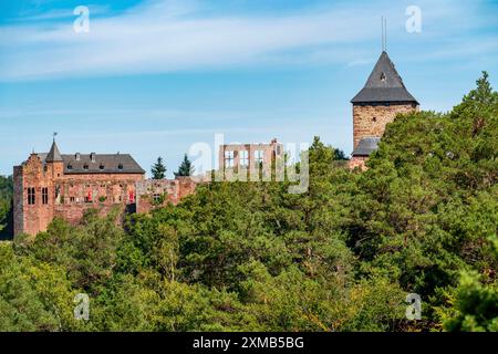 Château de Nideggen, au-dessus de la vallée de la Rur, donjon, Eifel, Rhénanie du Nord-Westphalie, Allemagne Banque D'Images