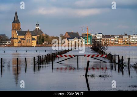 Hautes eaux sur le Rhin, prairies du Rhin inondées, champs, Bas Rhin, ici près d'Emmerich, Rhénanie du Nord-Westphalie, Allemagne Banque D'Images