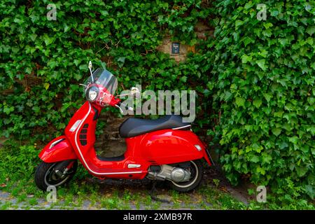 Scooter Vespa rouge garé devant un mur de lierre vert Banque D'Images