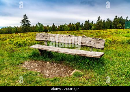 Paysage sur le Kahler Asten, montagne, dans le district de Hochsauerland, Hochheide, Rhénanie du Nord-Westphalie, Allemagne Banque D'Images