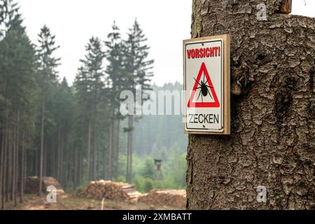 Panneau d'avertissement pour les tiques, dans la forêt d'Arnsberg, près de Hirschberg, Sauerland, Rhénanie du Nord-Westphalie, Allemagne Banque D'Images