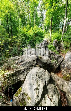 Le Felsenmeer à Hemer, Sauerland, géotope, avec des formations rocheuses accidentées, réserve naturelle, Rhénanie du Nord-Westphalie, Allemagne Banque D'Images