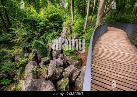 Le Felsenmeer à Hemer, Sauerland, géotope, avec des formations rocheuses accidentées, réserve naturelle, Rhénanie du Nord-Westphalie, Allemagne Banque D'Images