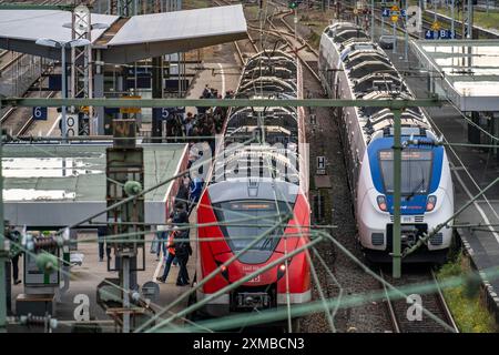 Station de S-Bahn Wuppertal-Elberfeld, quais, train local, Wuppertal, Rhénanie du Nord-Westphalie, Allemagne Banque D'Images